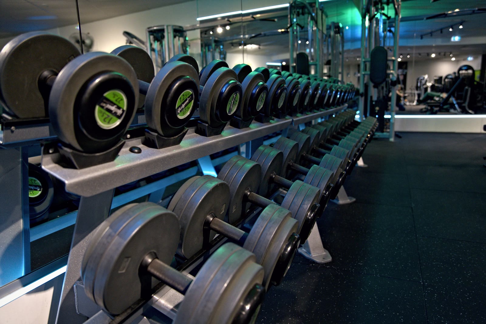 Free weights area with dumbbells up to 50kg